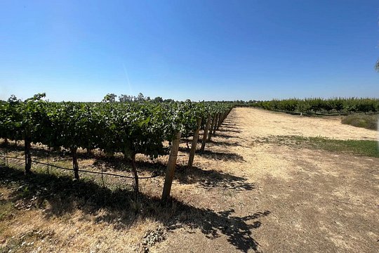 Tour image 5